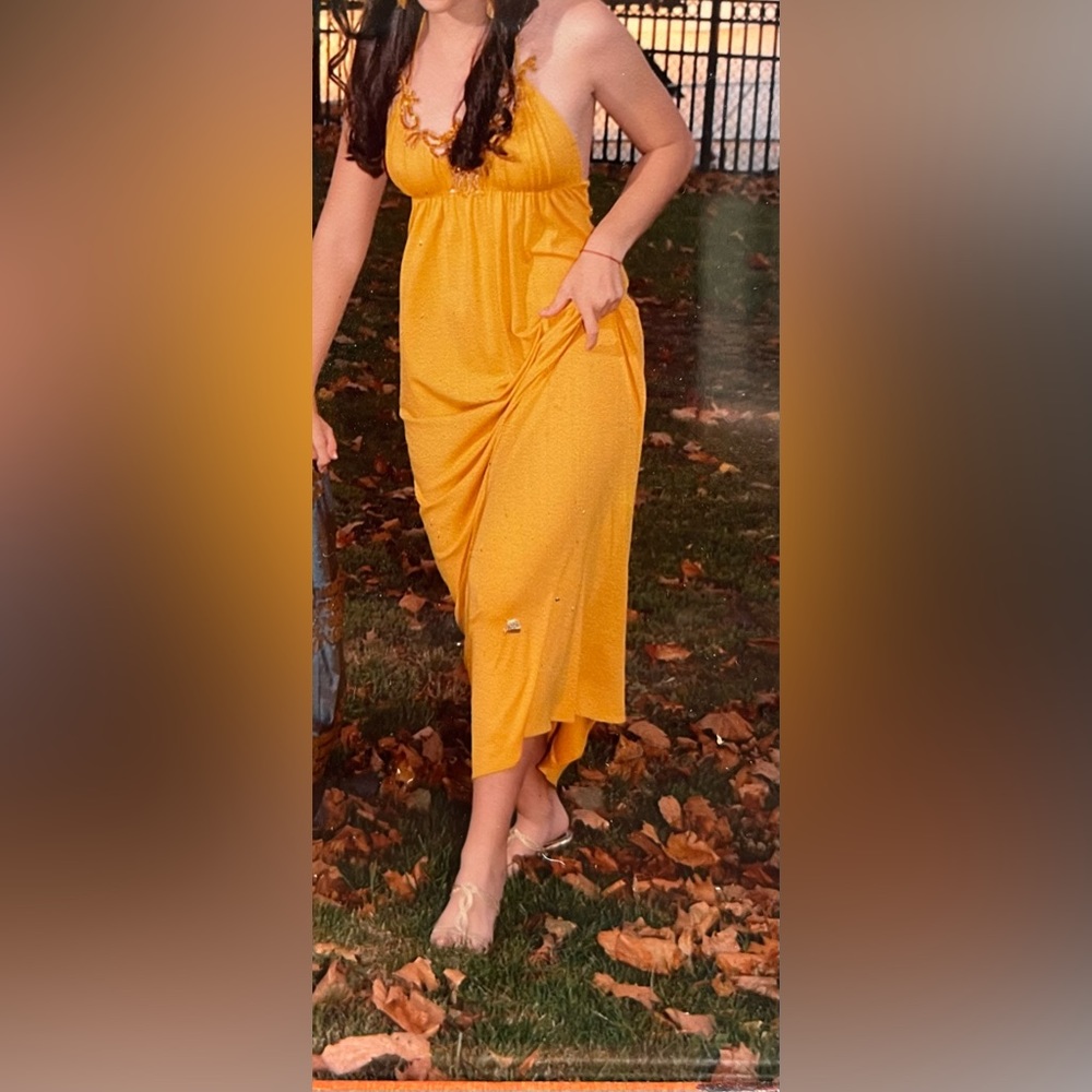 Ingwa Melero long jeweled dress